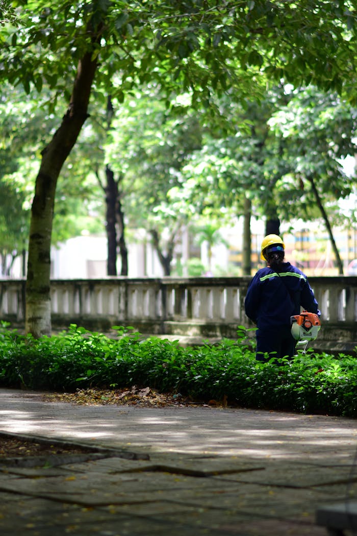 A gardener wearing safety gear tends to lush park greenery on a sunny day.