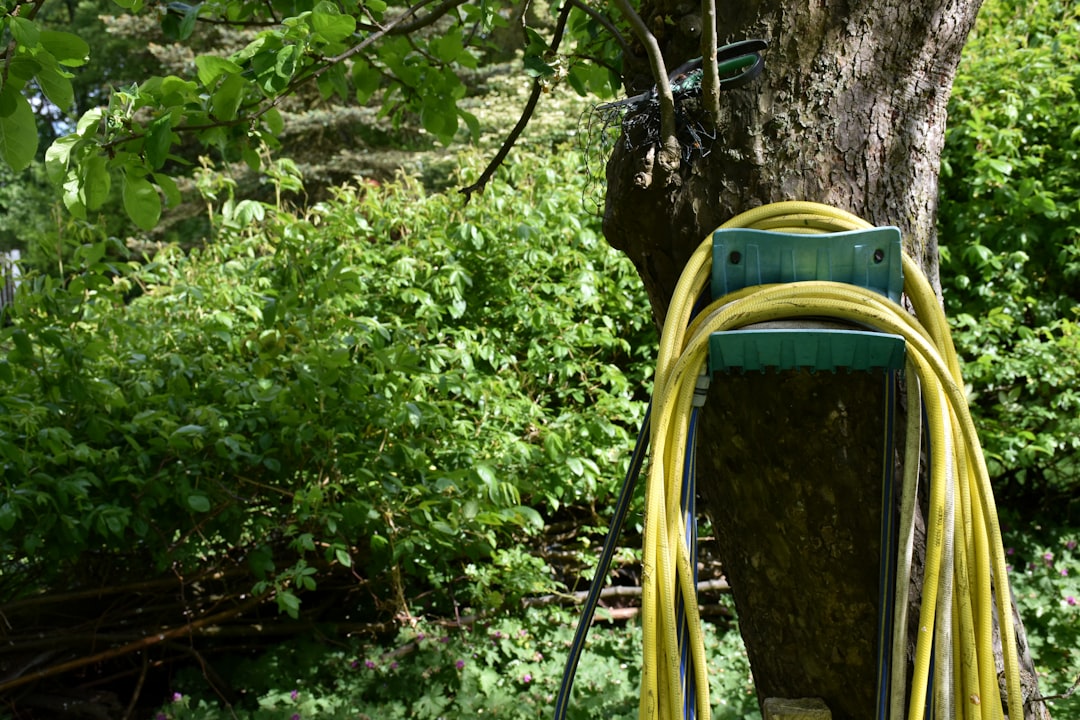 The garden hose is put away (Hedge - trimmer - hose)